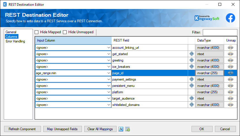 SSIS REST Facebook Messenger Destination - Columns